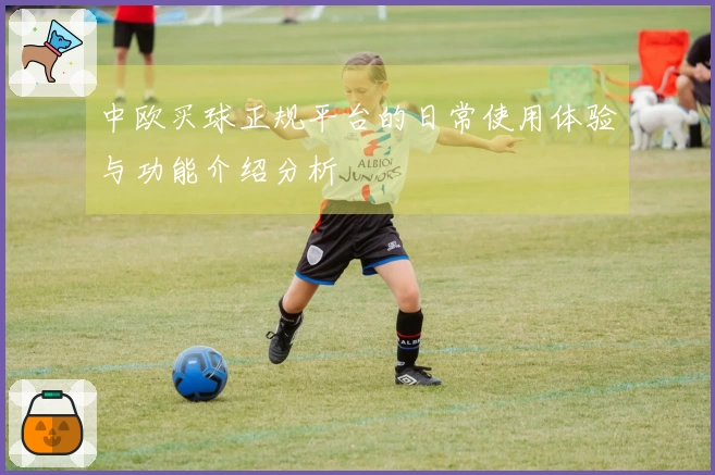 中欧买球正规平台的日常使用体验与功能介绍分析