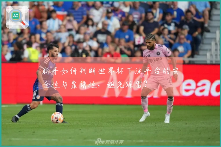 新手如何判断世界杯下注平台的安全性与靠谱性，避免踩雷？