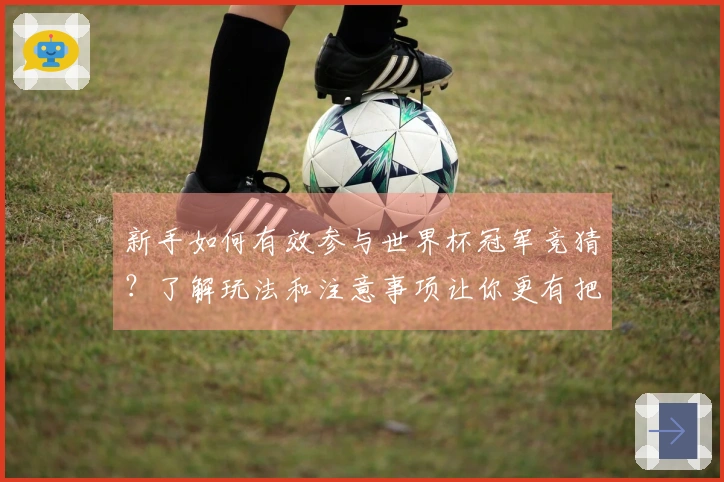 新手如何有效参与世界杯冠军竞猜？了解玩法和注意事项让你更有把握
