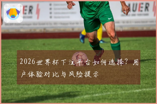 2026世界杯下注平台如何选择？用户体验对比与风险提示