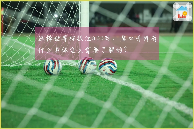选择世界杯投注app时，盘口升降有什么具体含义需要了解的？