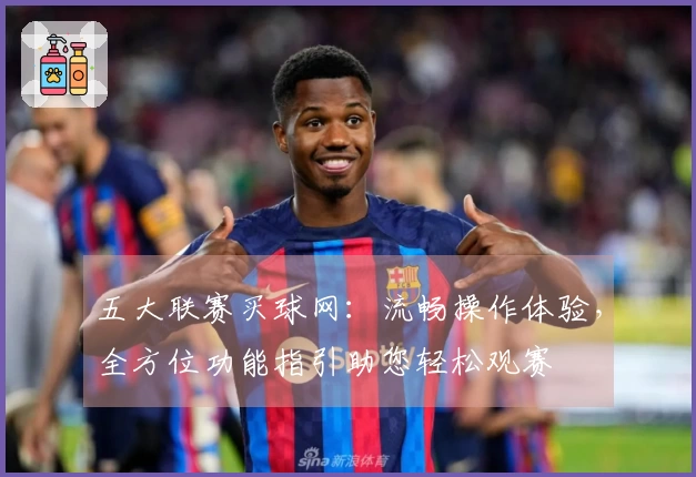 五大联赛买球网：流畅操作体验，全方位功能指引助您轻松观赛