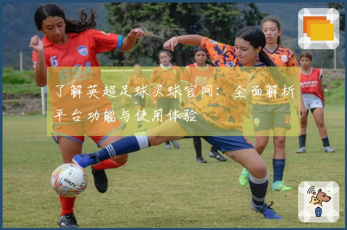 了解英超足球买球官网：全面解析平台功能与使用体验