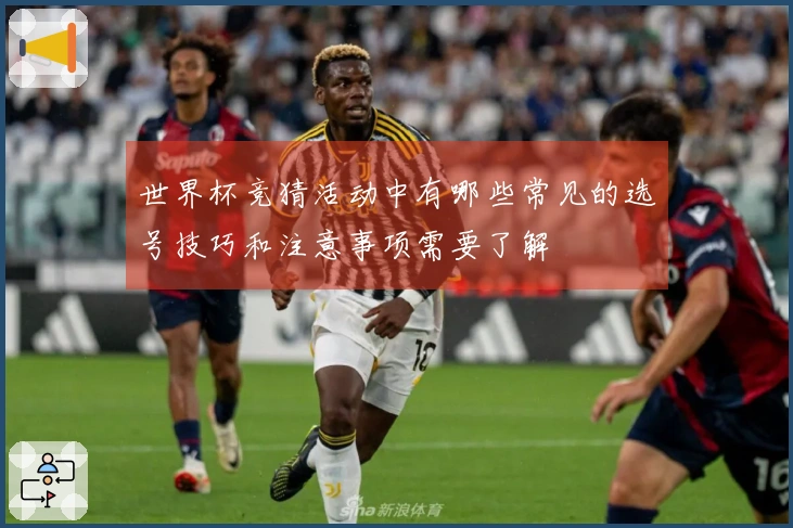 世界杯竞猜活动中有哪些常见的选号技巧和注意事项需要了解