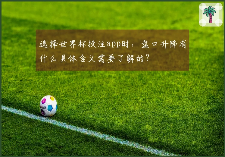 选择世界杯投注app时，盘口升降有什么具体含义需要了解的？