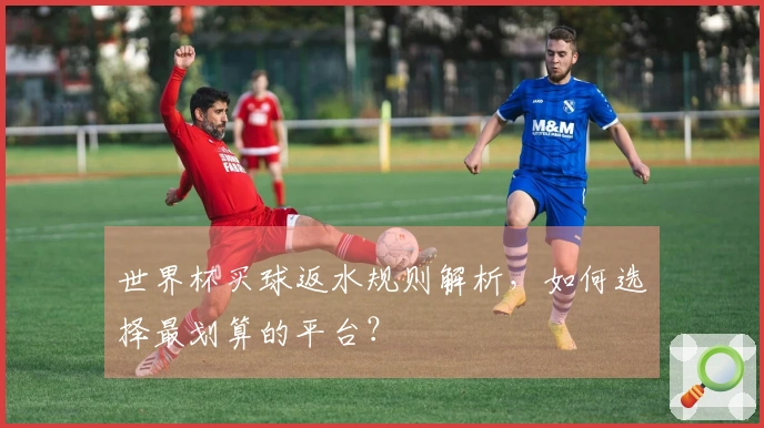 世界杯买球返水规则解析，如何选择最划算的平台？