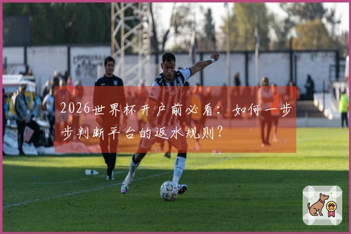 2026世界杯开户前必看：如何一步步判断平台的返水规则？