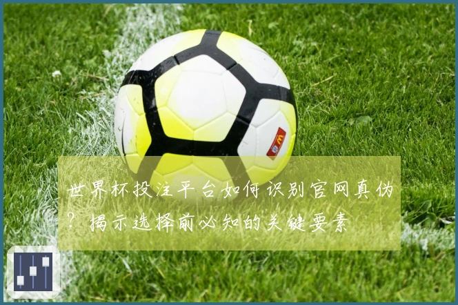 世界杯投注平台如何识别官网真伪？揭示选择前必知的关键要素