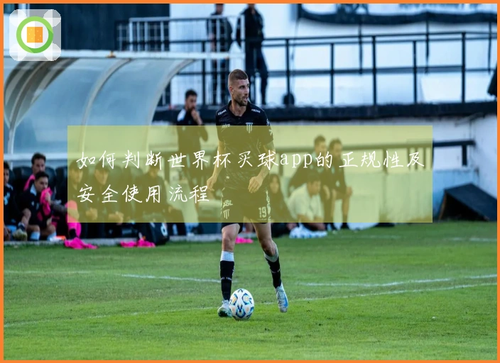 如何判断世界杯买球app的正规性及安全使用流程