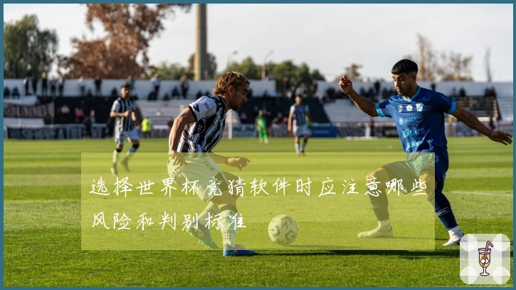 选择世界杯竞猜软件时应注意哪些风险和判别标准