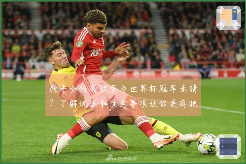 新手如何有效参与世界杯冠军竞猜？了解玩法和注意事项让你更有把握